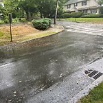 Water and Sewer at 59 Somerset Rd