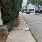 Sidewalk Obstruction at 59 Oakland Rd