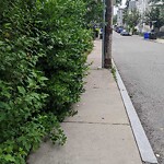 Sidewalk Obstruction at 40 Franklin St