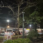 Public Trees at 1634–1650 Beacon St