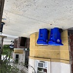 Trash/Recycling at 669 Washington St