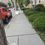 Trash/Recycling at 29 Green St