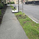 Trash/Recycling at 18 Pleasant St