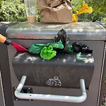 Trash/Recycling at 100 Park St