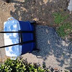 Sidewalk Repair at 17 Auburn St