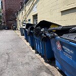 Trash/Recycling at 1003 Beacon St