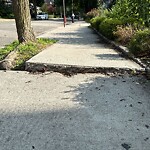 Sidewalk Repair at 42.34 N 71.12 W