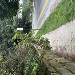 Sidewalk Obstruction at 94 Dudley St