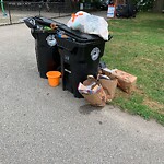 Trash/Recycling at 42.34 N 71.14 W