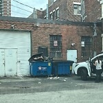Rodent Issues at 1024 Commonwealth Ave, Boston