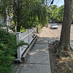 Sidewalk Obstruction at 162 Cypress St