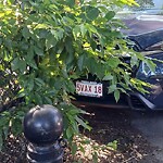 Parking Issues at 1803 Beacon St