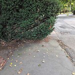 Sidewalk Obstruction at 52 Upland Rd