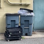 Trash/Recycling at 1007 Beacon St