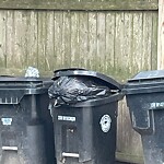 Trash/Recycling at 86 Monmouth St