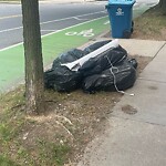 Trash/Recycling at 34 Babcock St