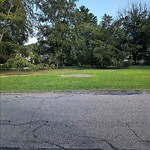 Public Trees at 25 Chatham St