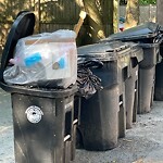 Trash/Recycling at 86 Monmouth St