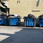 Trash/Recycling at 123 St Marys St