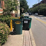 Sidewalk Obstruction at 74–88 Kent St