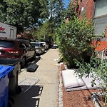 Trash/Recycling at 19 Netherlands Rd