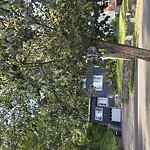 Other at 60 Wallis Rd, Chestnut Hill