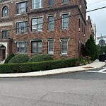 Trash/Recycling at 38 Summit Ave