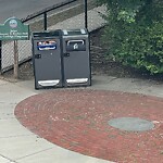 Trash/Recycling at 42.35 N 71.13 W