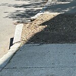 Sidewalk Repair at 20 Gibbs St Sidewalk Repair at 20 Gibbs St