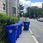 Trash/Recycling at 115 Park St