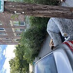 Trash/Recycling at 6 Parkway Rd