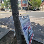 Public Trees at 171 Harvard St