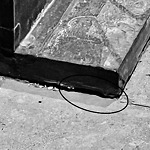 Rodent Issues at 1659 Beacon St