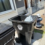 Trash/Recycling at 14 Homer St