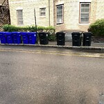 Trash/Recycling at 115 Park St