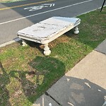 Trash/Recycling at 177 Babcock St