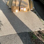 Trash/Recycling at 270 Cypress St