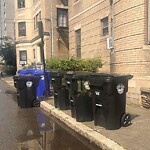 Trash/Recycling at Park St