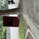 Trash/Recycling at 793 Washington St