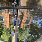 Park Playground at Lawton Playground, 125 Lawton St, Brookline 02446