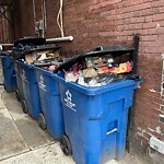 Trash/Recycling at 35 Harvard St