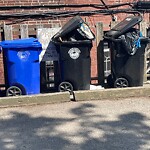 Trash/Recycling at 1011 Beacon St