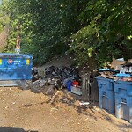 Trash/Recycling at 1213 Beacon St
