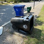 Trash/Recycling at Essex St