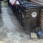 Rodent Issues at 1890 Beacon St