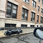 Trash/Recycling at 9 Sewall Ave