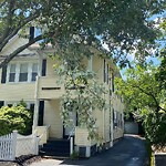 Public Trees at 65 Linden St