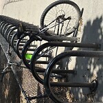 Abandoned Bike at Lawrence School, 27 Francis St, Brookline 02446