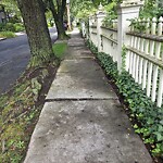 Sidewalk Repair at 19 Copley St