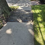 Sidewalk Repair at 19 Copley St